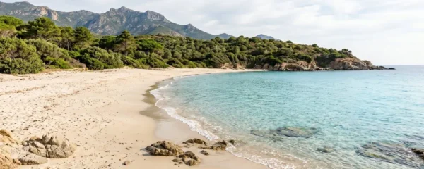Una spiaggia corsa con sabbia dorata e mare turchese completamente deserta in una mattina di primavera, con vegetazione mediterranea sullo sfondo